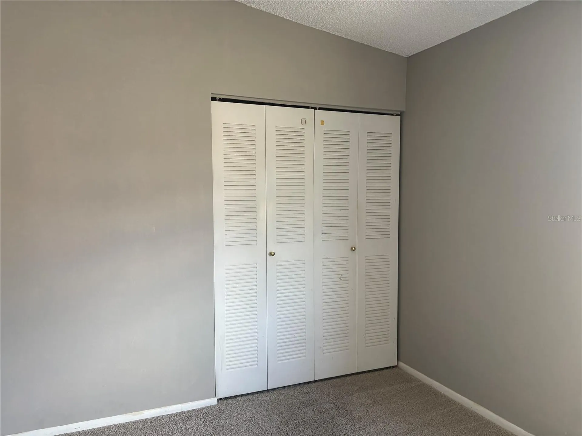 2524 Lakeway Branch Drive Orlando FL 32839