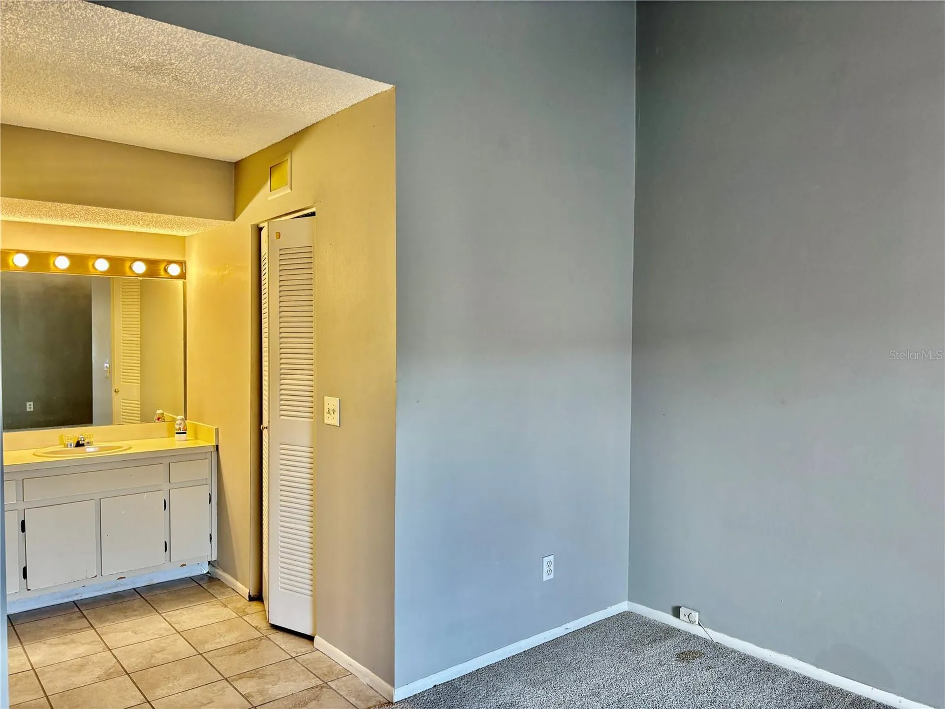 2524 Lakeway Branch Drive Orlando FL 32839