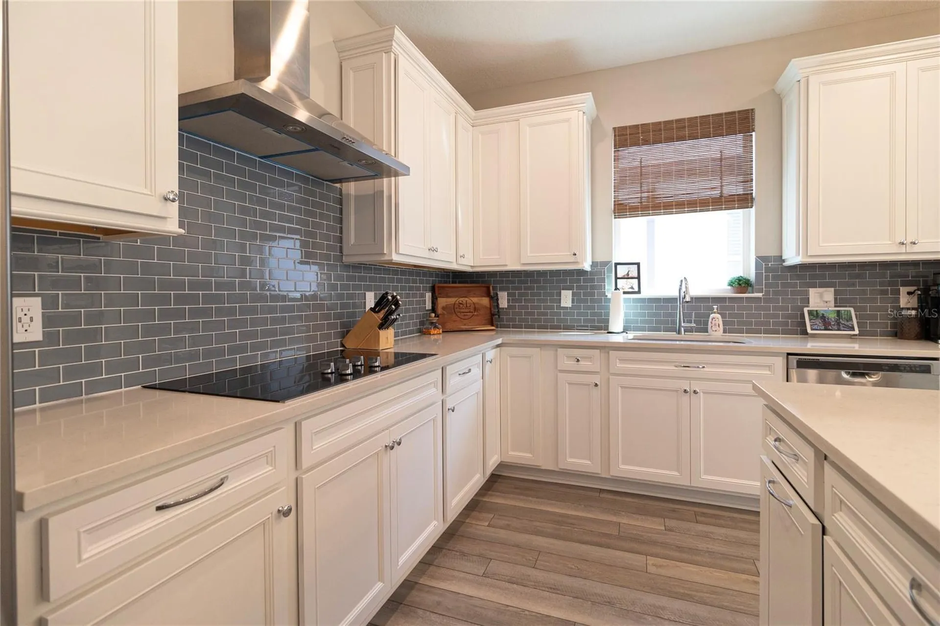 12951 Brookside Moss Drive Riverview FL 33579