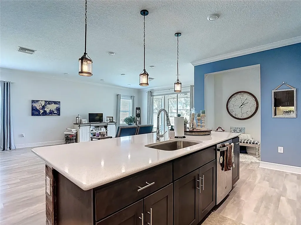 30980 Jazz Leaf Place San Antonio FL 33576