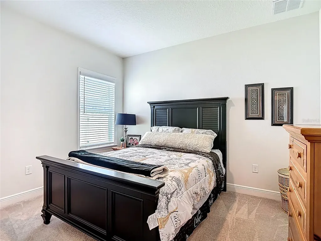 30980 Jazz Leaf Place San Antonio FL 33576