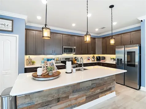 30980 Jazz Leaf Place San Antonio FL 33576