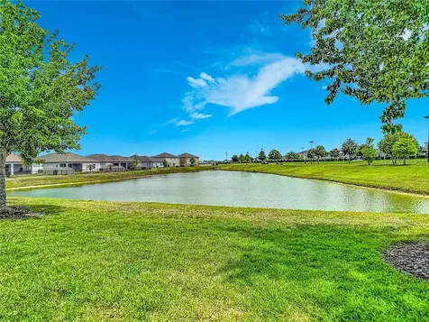 30980 Jazz Leaf Place San Antonio FL 33576
