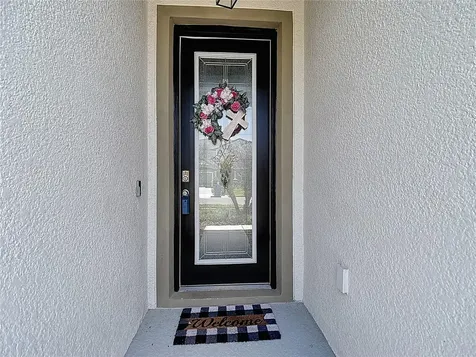 30980 Jazz Leaf Place San Antonio FL 33576