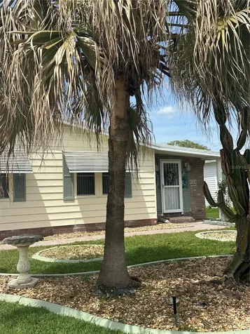 907 Orchid Street The Villages FL 32159