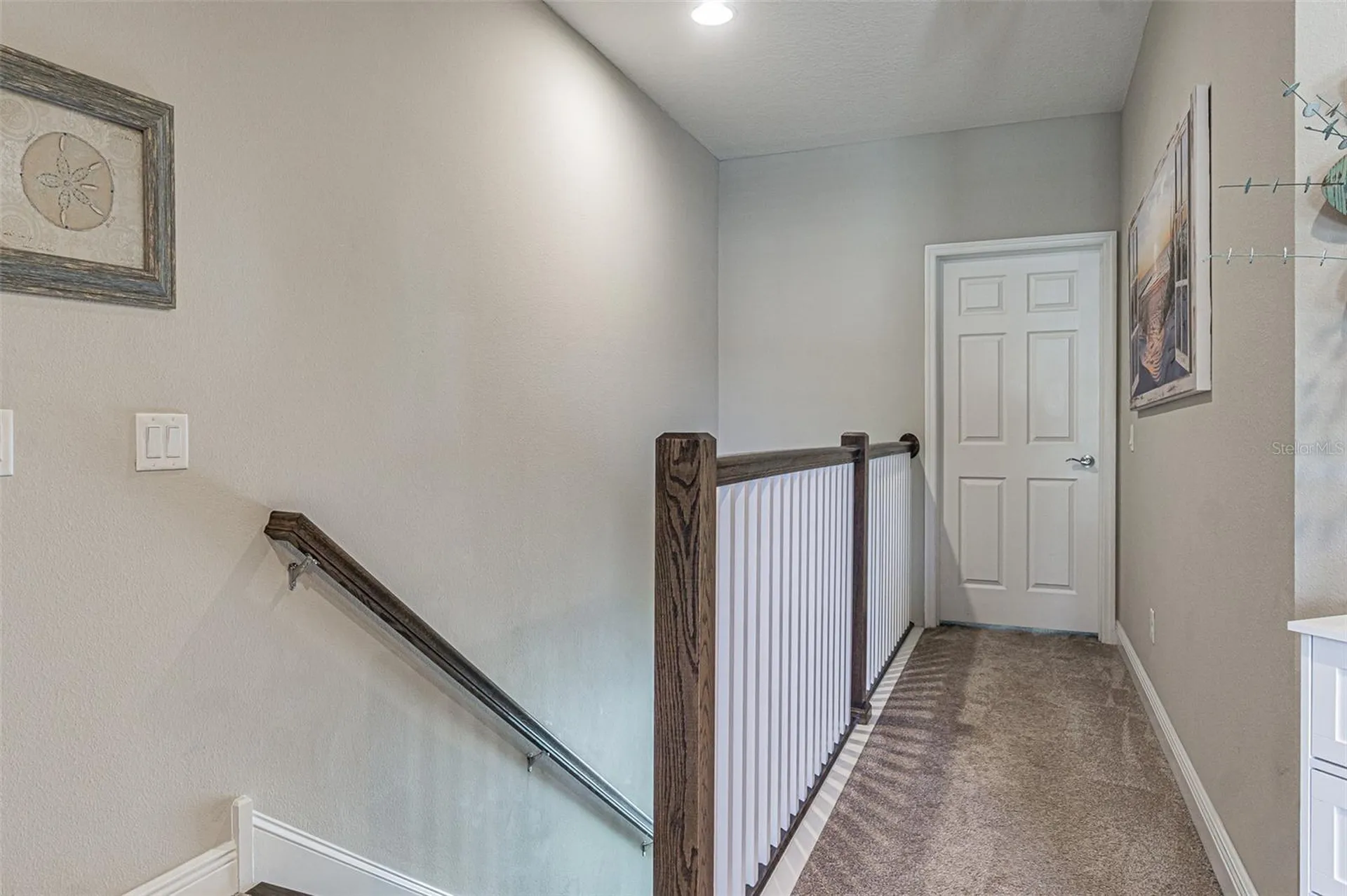 11523 Crowned Sparrow Lane Tampa FL 33626