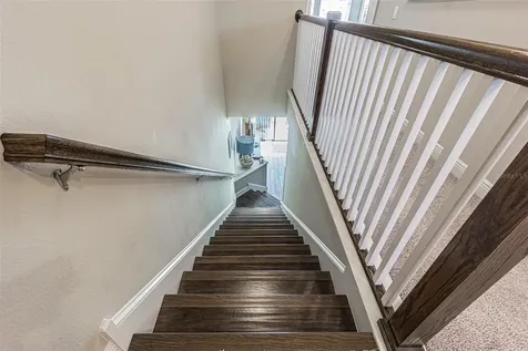 11523 Crowned Sparrow Lane Tampa FL 33626