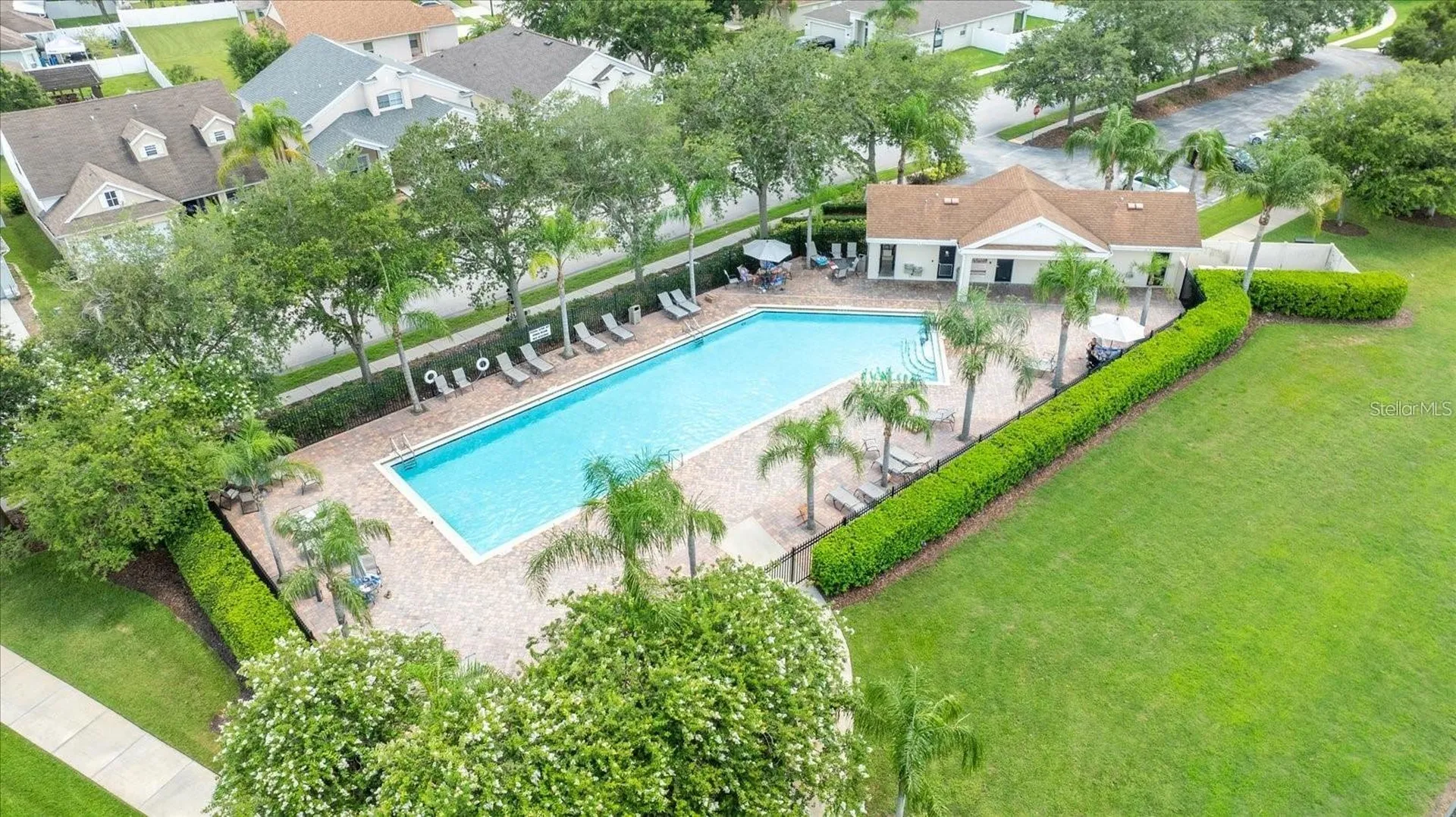 2818 Musky Mint Drive Land O Lakes FL 34638