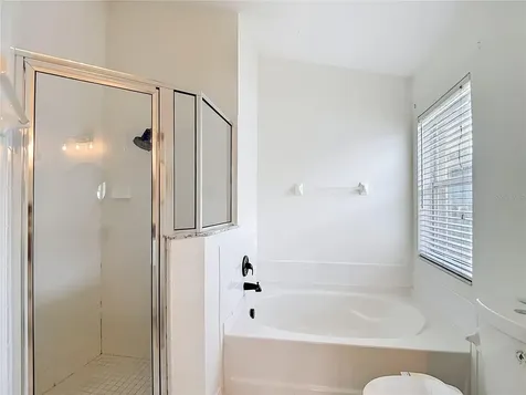 2818 Musky Mint Drive Land O Lakes FL 34638