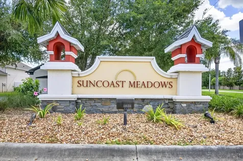 2818 Musky Mint Drive Land O Lakes FL 34638
