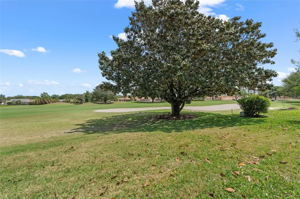 1936 Palo Alto Avenue The Villages FL 32159