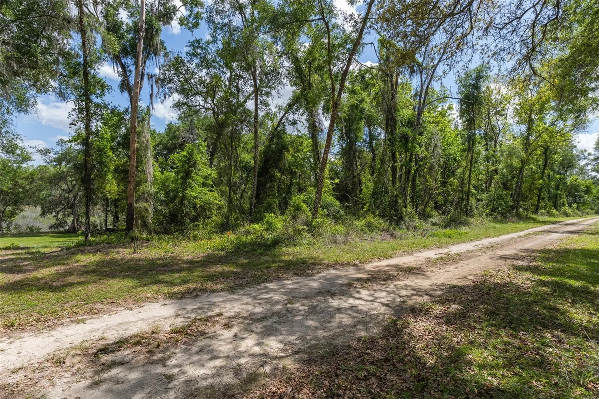 0 Rousseau Street Webster FL 33597