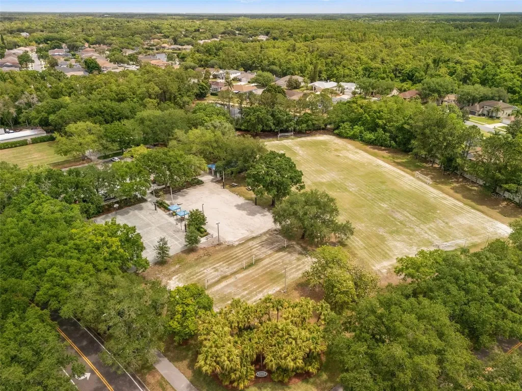 3749 Pendlebury Drive Palm Harbor FL 34685
