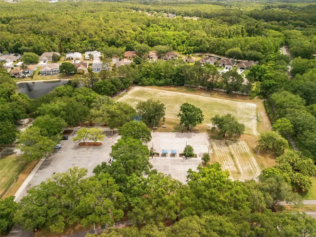 3749 Pendlebury Drive Palm Harbor FL 34685