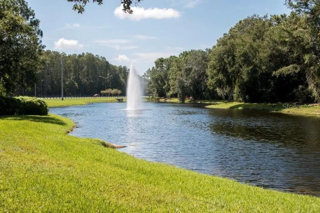 3749 Pendlebury Drive Palm Harbor FL 34685