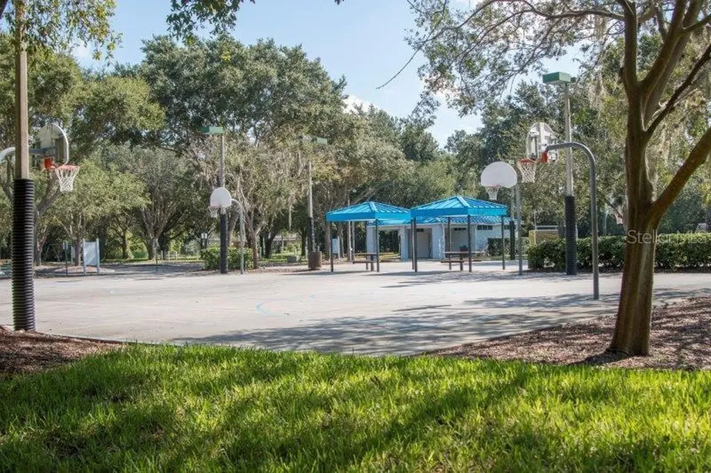 3749 Pendlebury Drive Palm Harbor FL 34685
