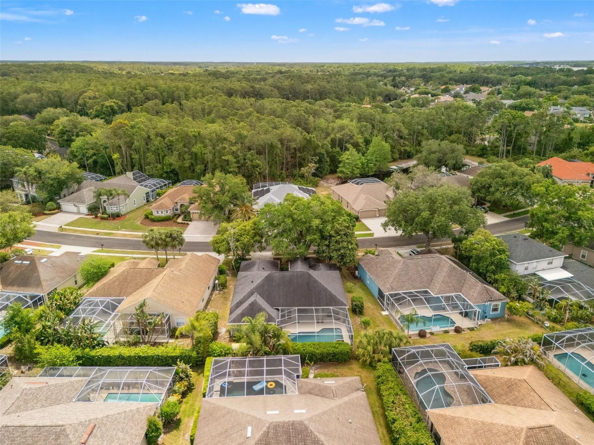 3749 Pendlebury Drive Palm Harbor FL 34685