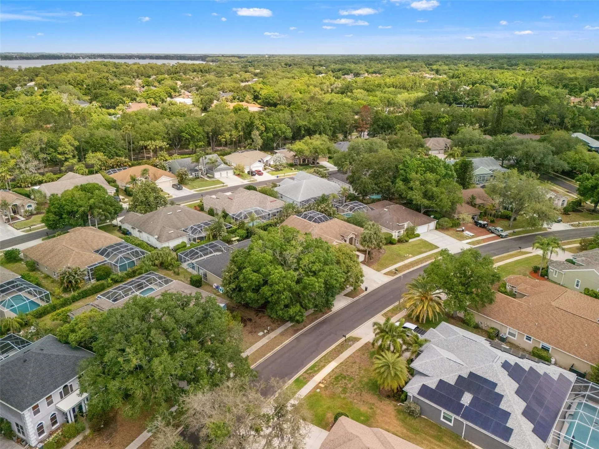 3749 Pendlebury Drive Palm Harbor FL 34685