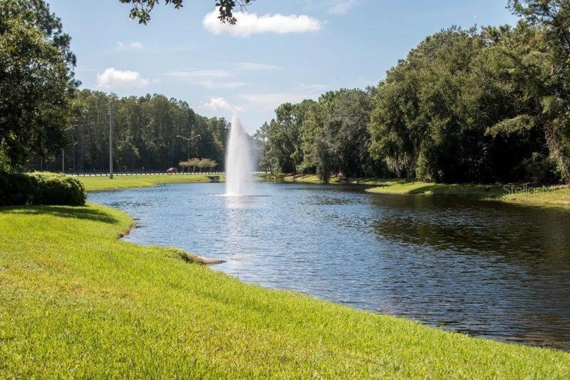 3749 Pendlebury Drive Palm Harbor FL 34685