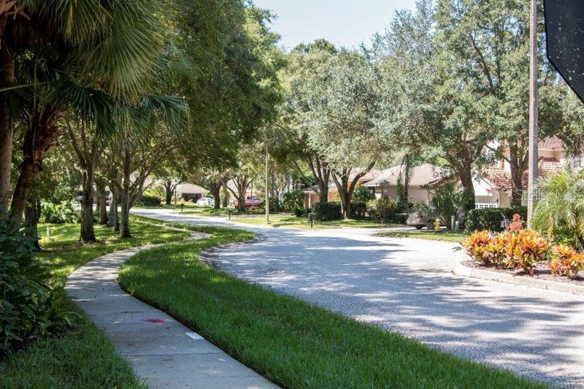 3749 Pendlebury Drive Palm Harbor FL 34685