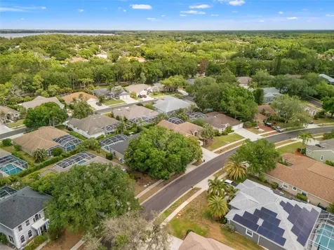 3749 Pendlebury Drive Palm Harbor FL 34685