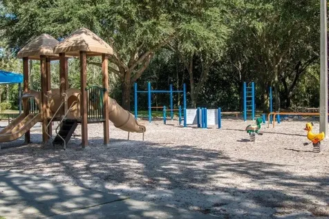 3749 Pendlebury Drive Palm Harbor FL 34685