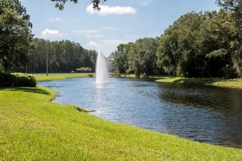3749 Pendlebury Drive Palm Harbor FL 34685