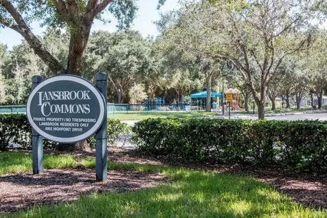 3749 Pendlebury Drive Palm Harbor FL 34685