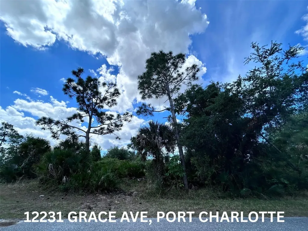 12231 Grace Avenue Port Charlotte FL 33981