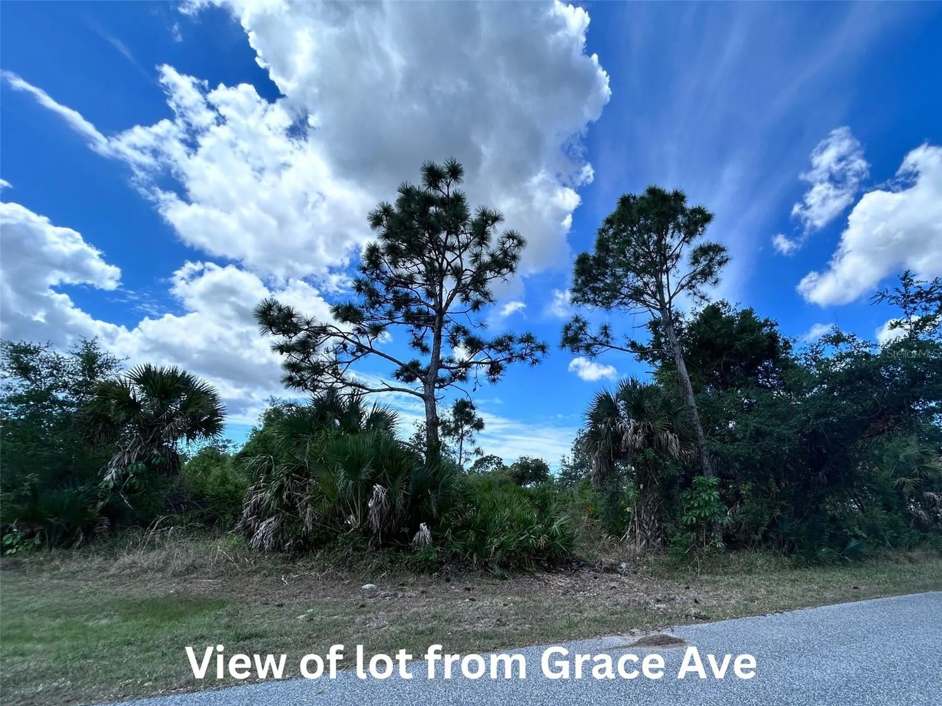 12231 Grace Avenue Port Charlotte FL 33981