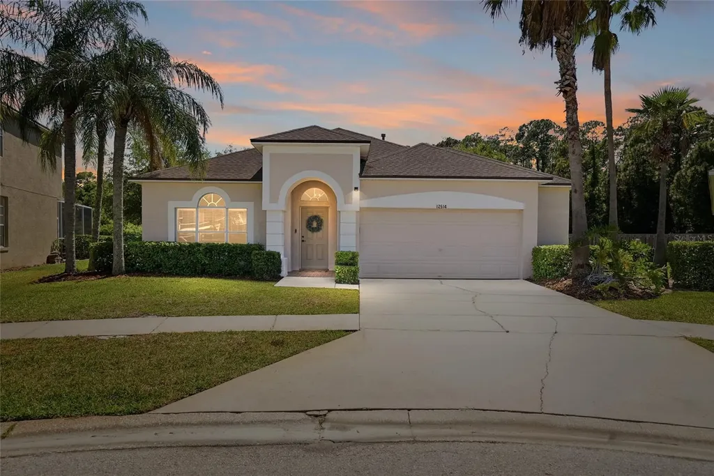 12514 Loquat Way Tampa FL 33626