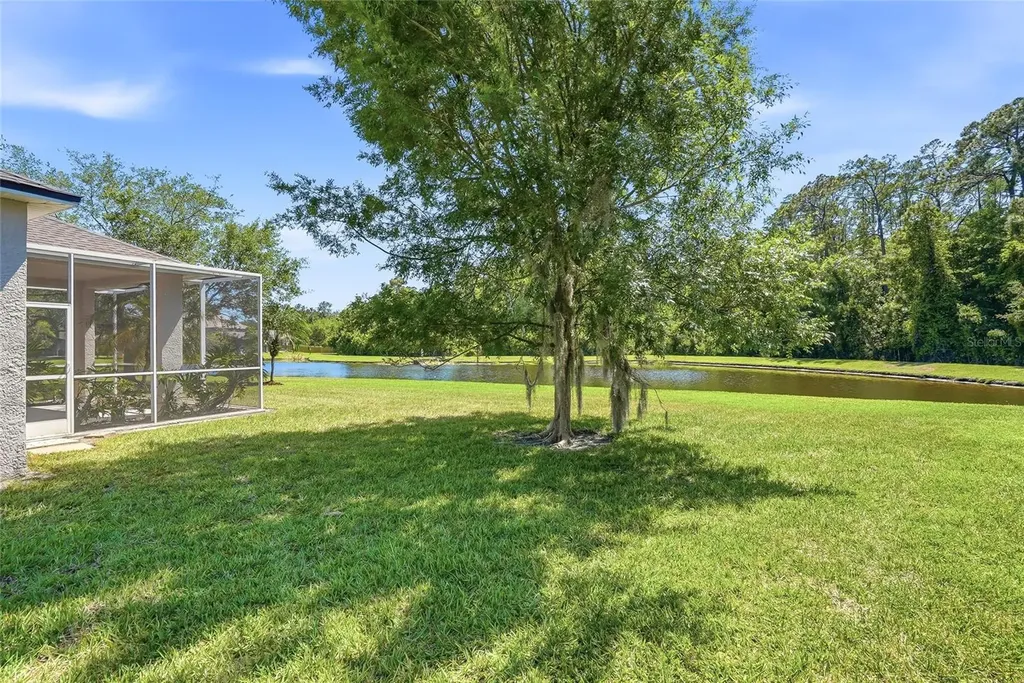 12514 Loquat Way Tampa FL 33626