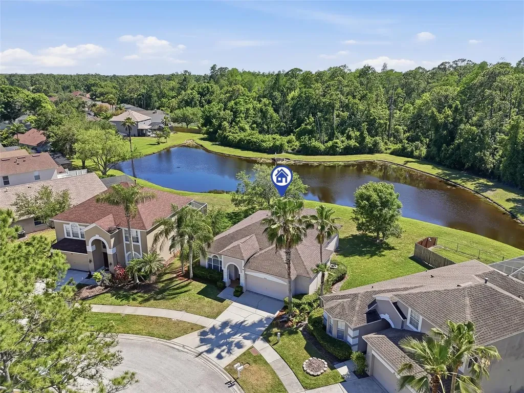 12514 Loquat Way Tampa FL 33626