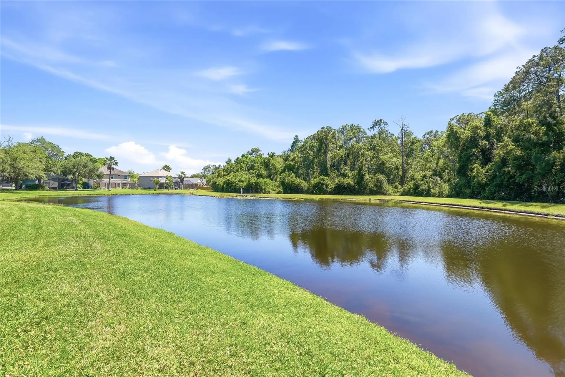 12514 Loquat Way Tampa FL 33626