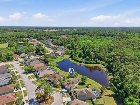 12514 Loquat Way Tampa FL 33626