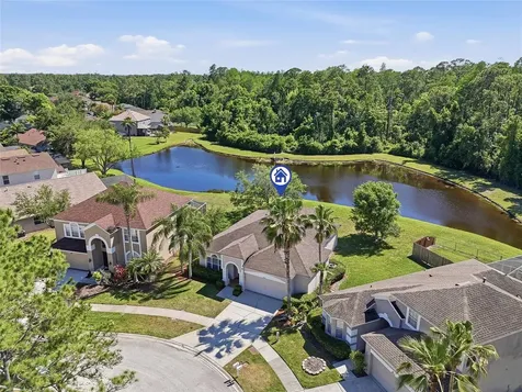 12514 Loquat Way Tampa FL 33626