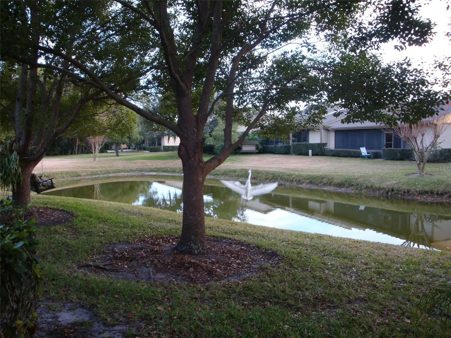 70 Joanne Place Oldsmar FL 34677