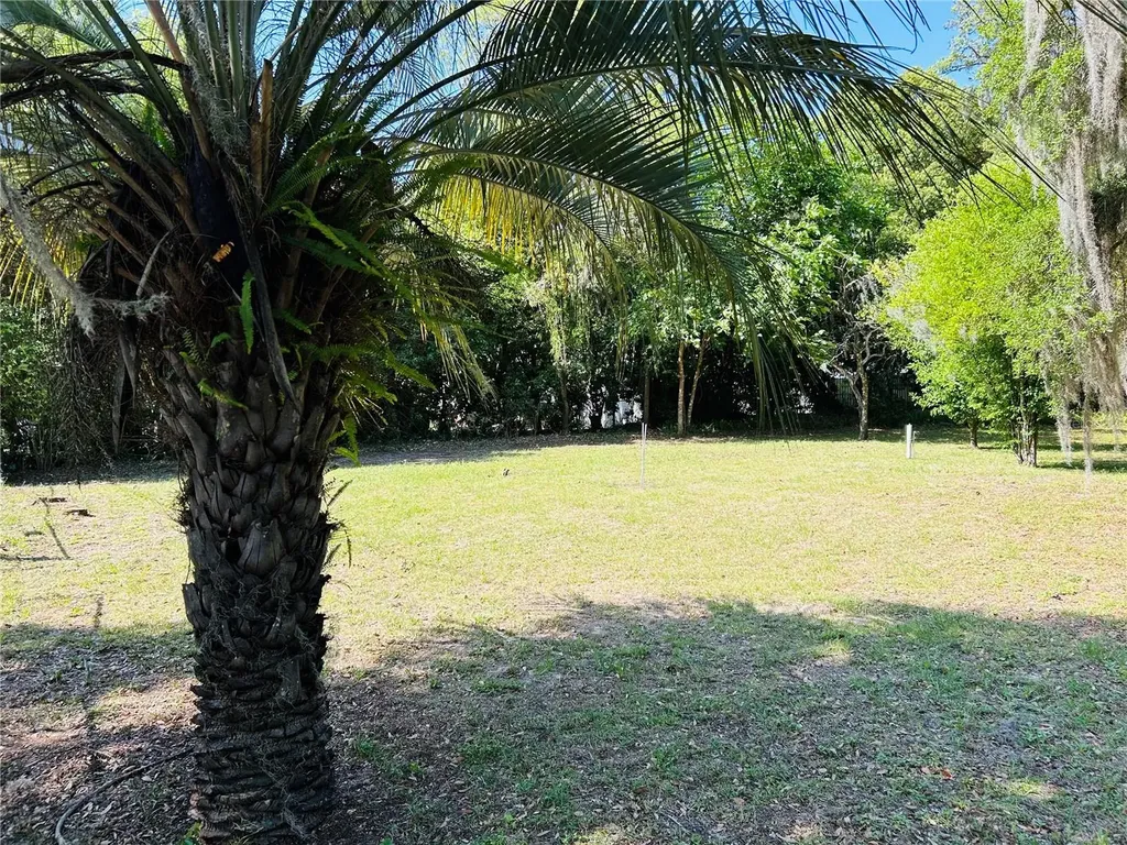 Tbd SE 62nd Avenue Belleview FL 34420