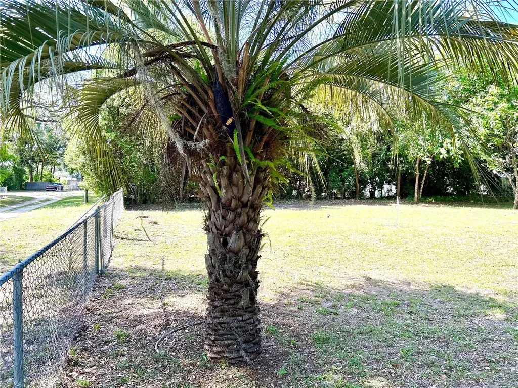 Tbd SE 62nd Avenue Belleview FL 34420