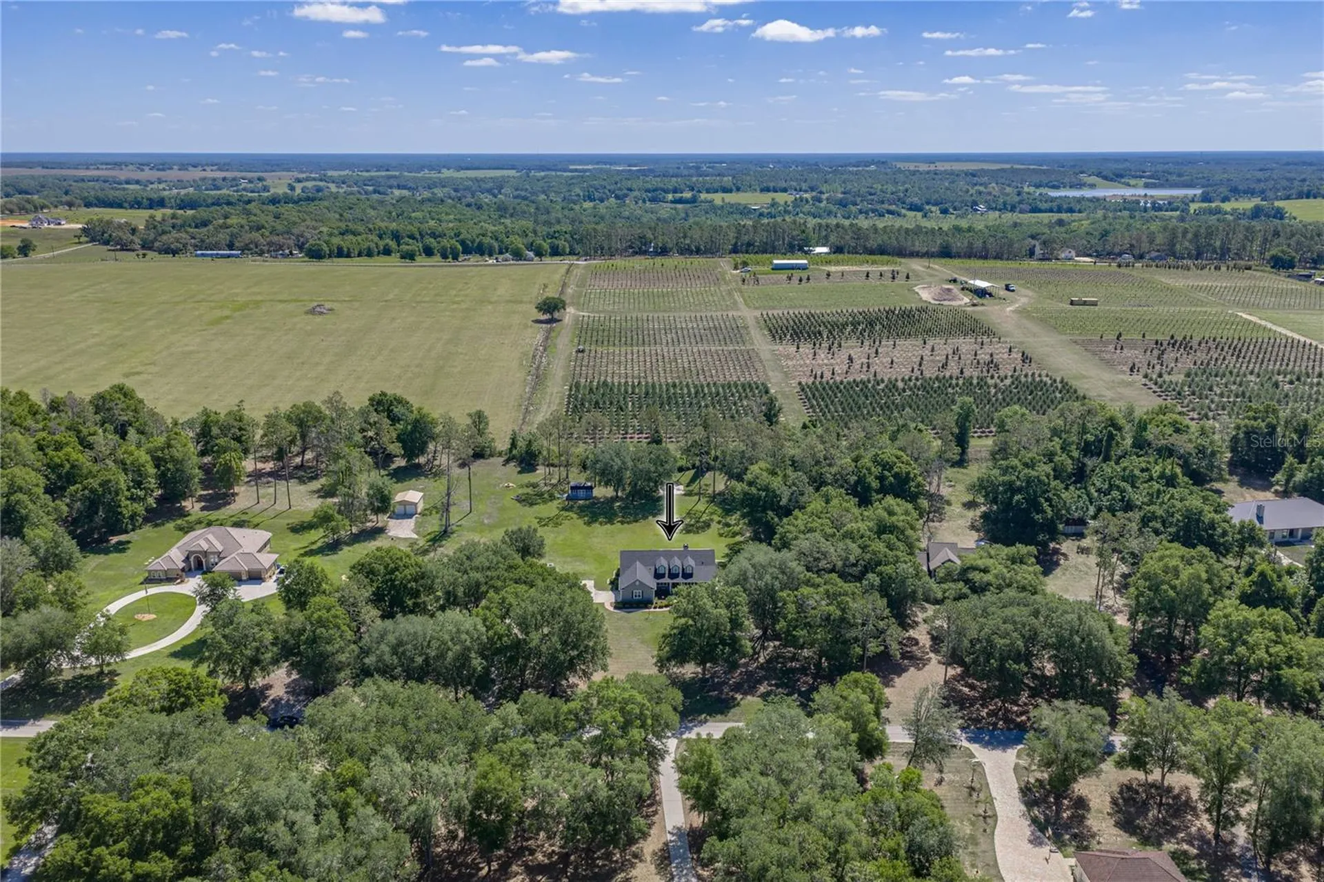 810 Savannah Oaks Drive Brooksville FL 34602