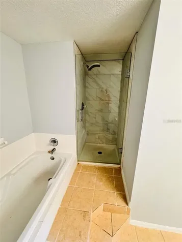 722 Washington Palm Loop Davenport FL 33897