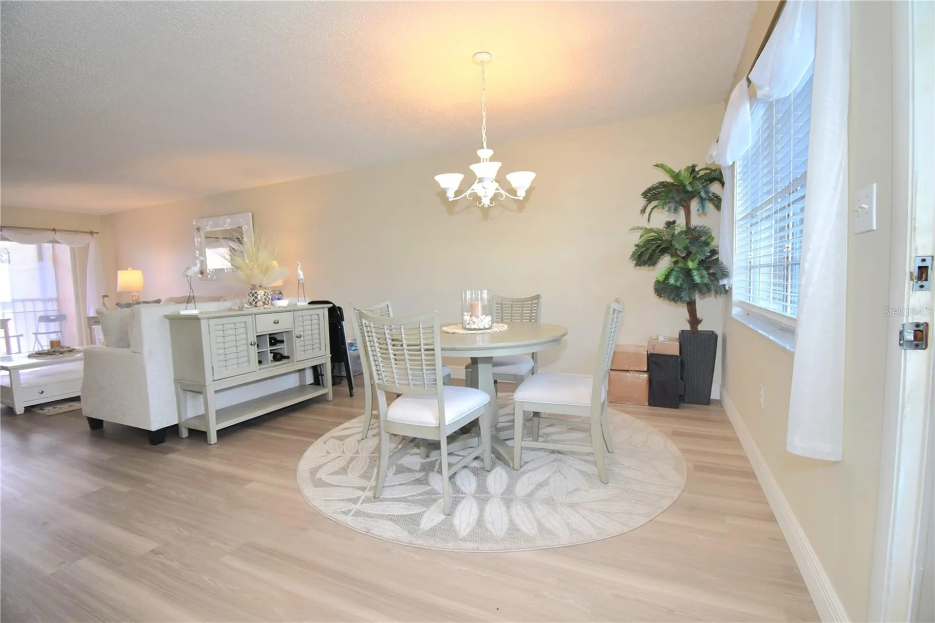 952 Virginia Street Dunedin FL 34698