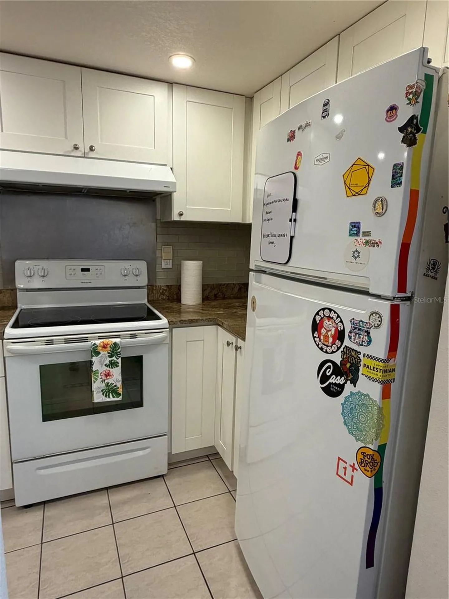 203 W Crest 1/2 Avenue Tampa FL 33603
