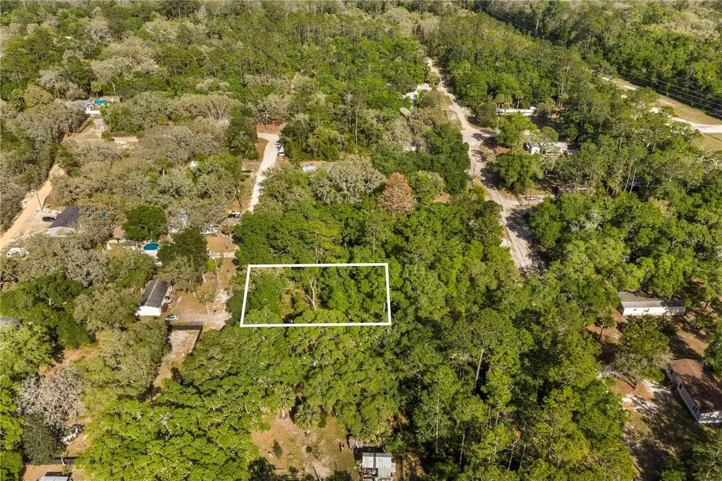000 NE 153 Street Fort Mc Coy FL 32134