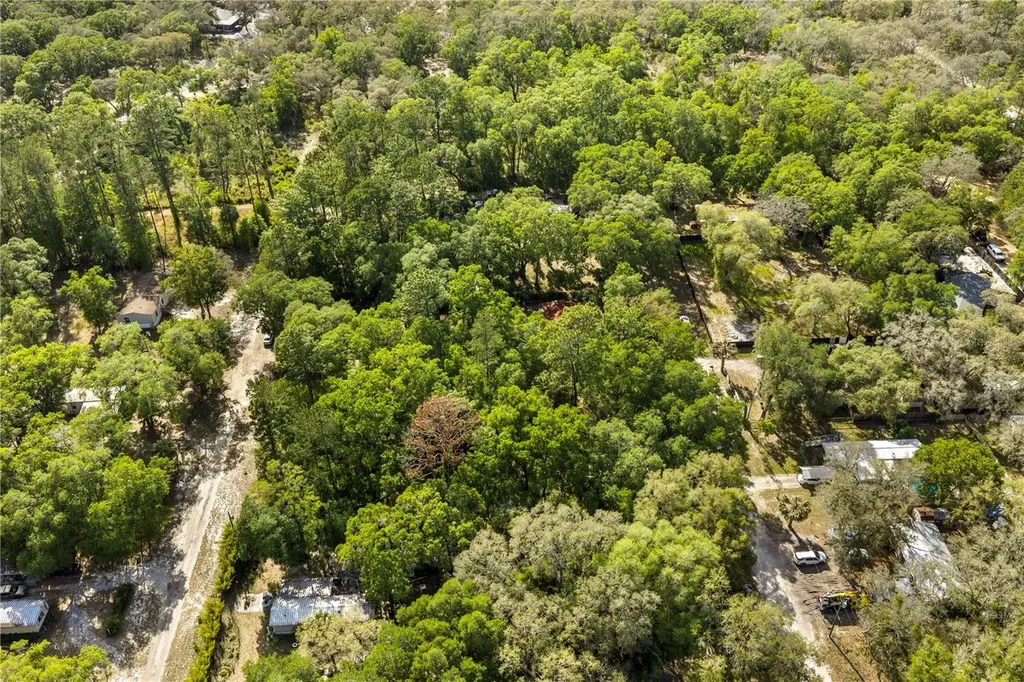 000 NE 153 Street Fort Mc Coy FL 32134