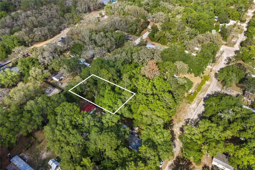 000 NE 153 Street Fort Mc Coy FL 32134