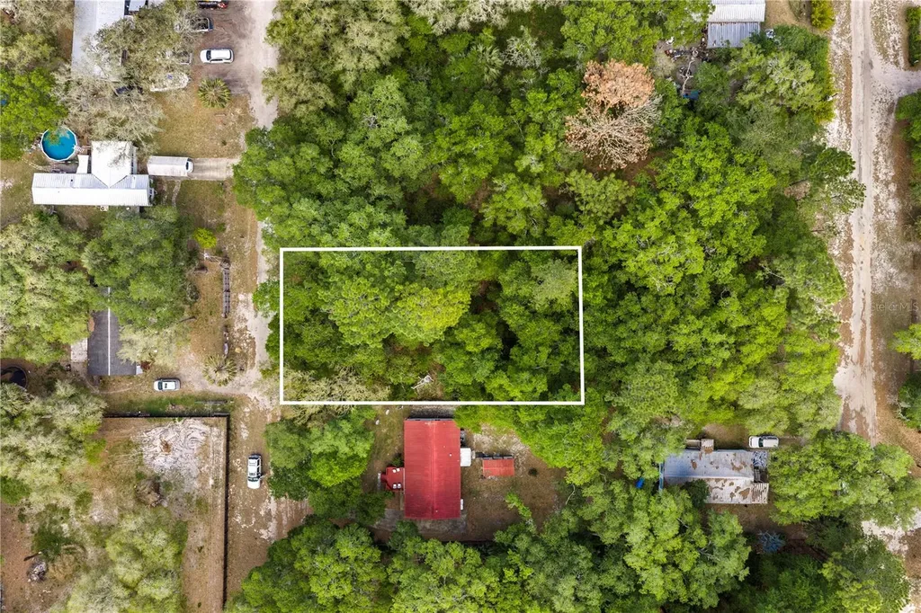 000 NE 153 Street Fort Mc Coy FL 32134