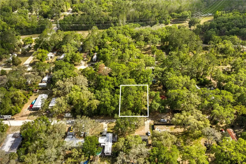 000 NE 153 Street Fort Mc Coy FL 32134
