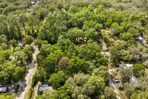 000 NE 153 Street Fort Mc Coy FL 32134
