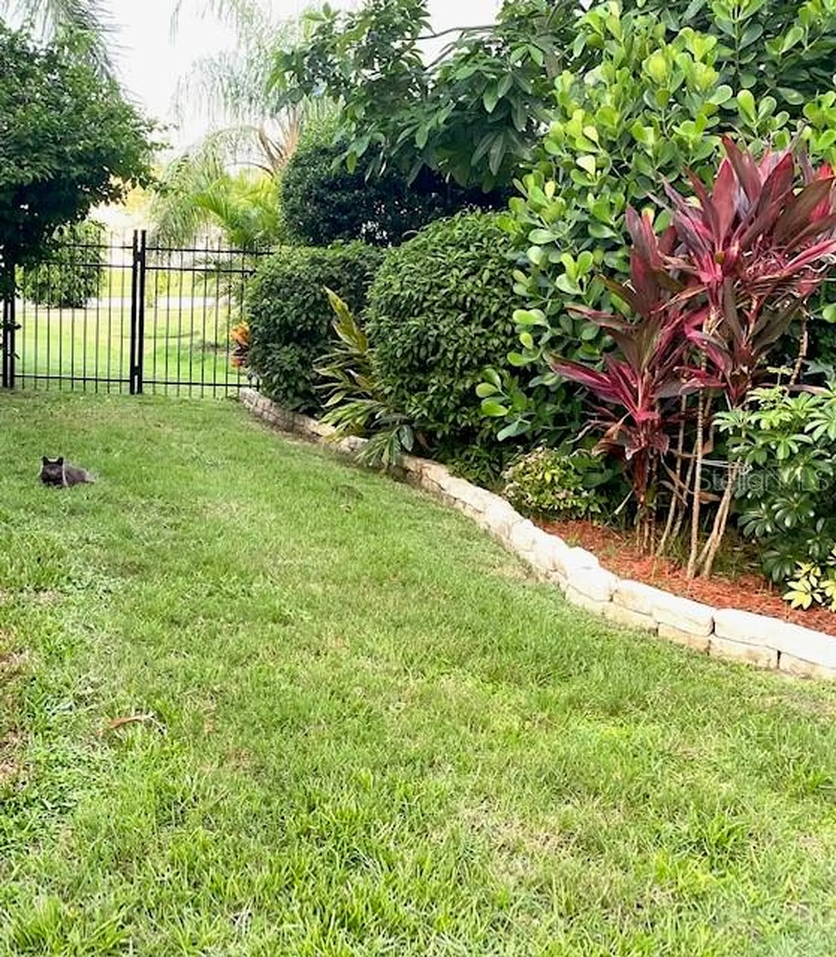 11718 Stonewood Gate Drive Riverview FL 33579